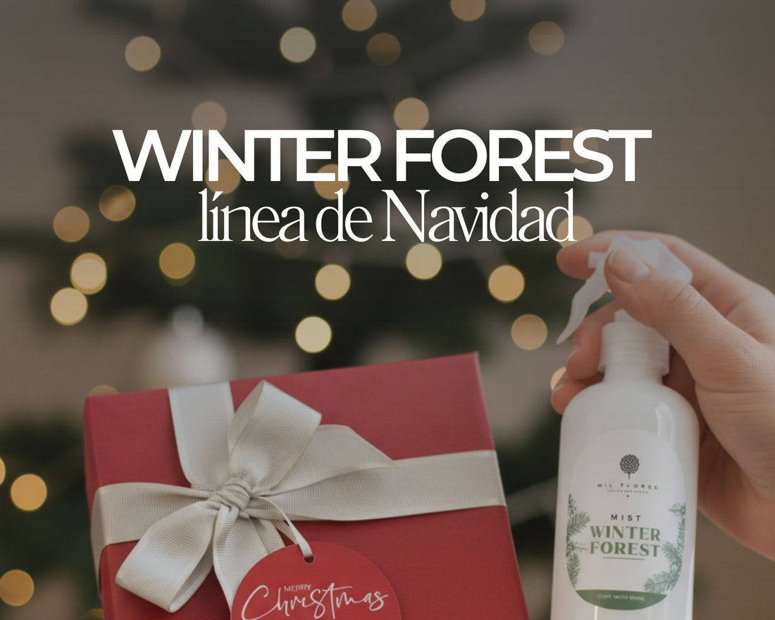 slider image slider_item_tqrGYA