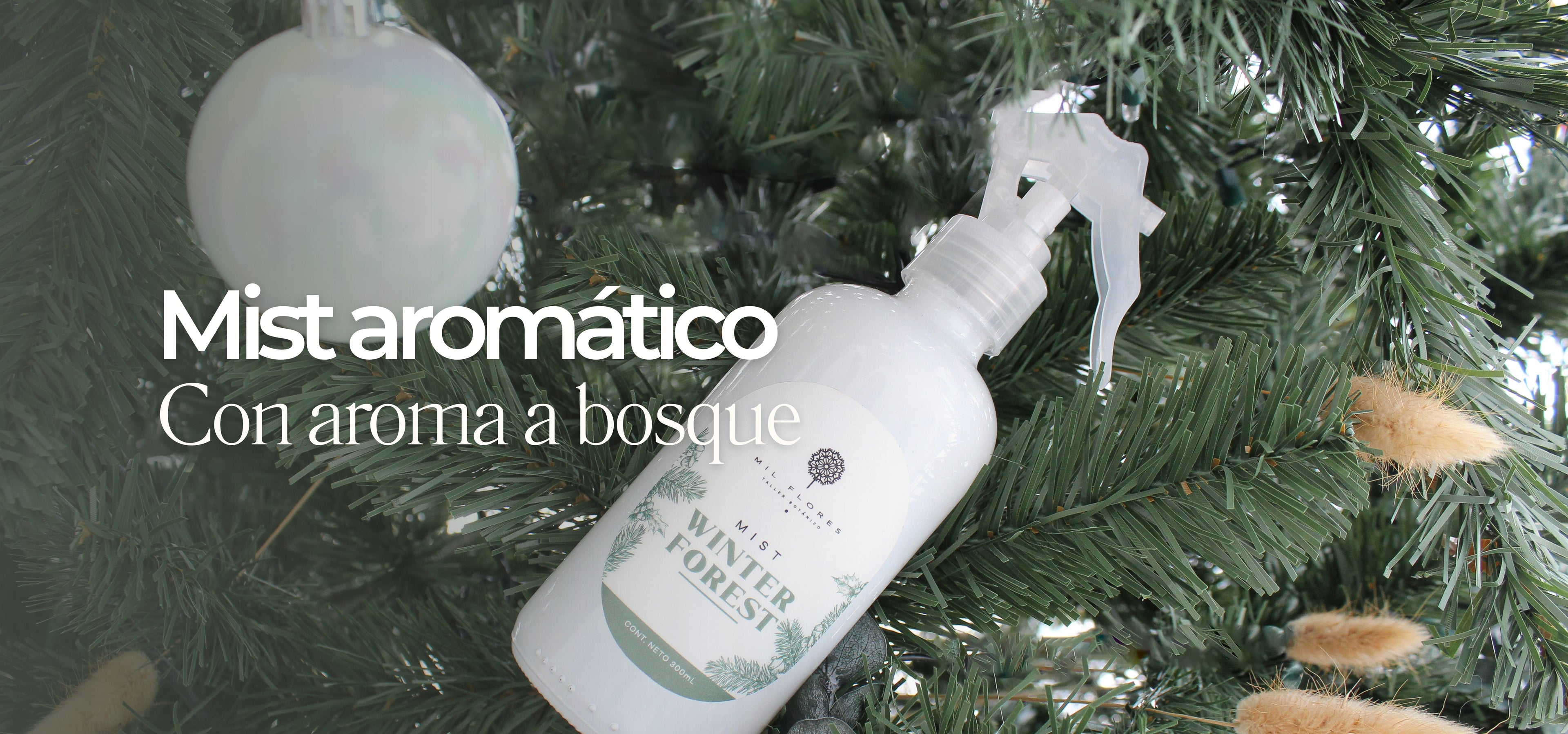 collection-banner-image